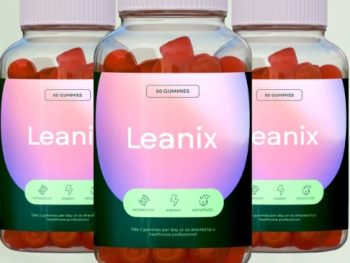 Leanix