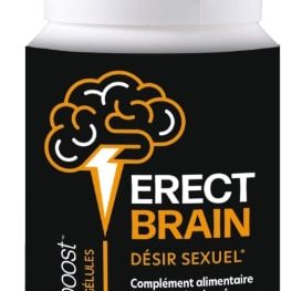 Erect-Brain